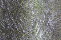 Grimsargh fibreglass roof work